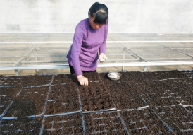 普田潤生物有機肥