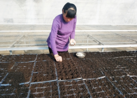 普田潤生物有機(jī)肥