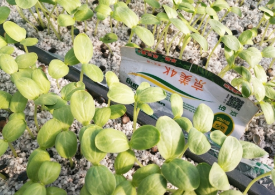 普田潤生物有機(jī)肥